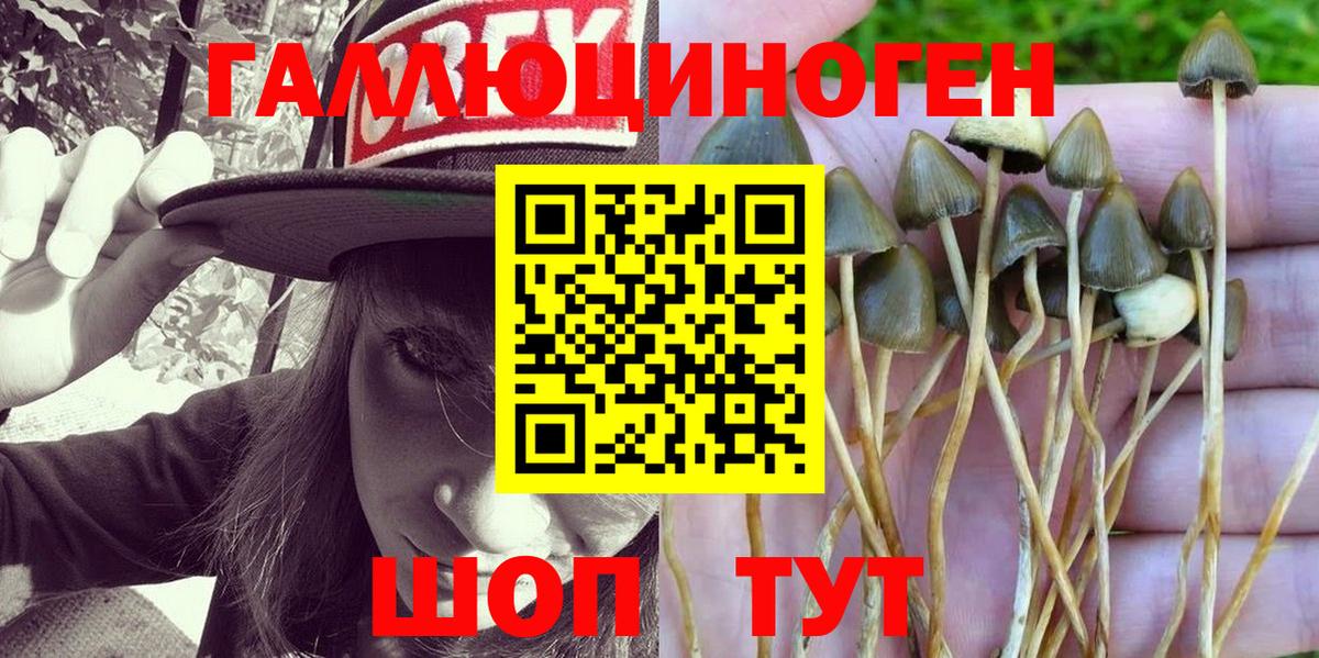 Серов  Галлюциногенные грибы мухоморы  Вход с VPN  Псилоцибиновые грибы ЛСД 